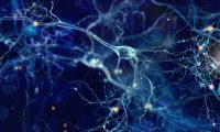 Neurons cells concept Conceptual illustration of neuron cells with glowing link knots in abstract dark space, high resolution 3D illustration