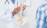 Doctor showing anatomical spine to his patient Doctor showing anatomical spine to his patient in medical office