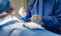 Group of surgeons at work in operating theater. Medical team performing operation Group of surgeons at work in operating theater. Medical team performing operation